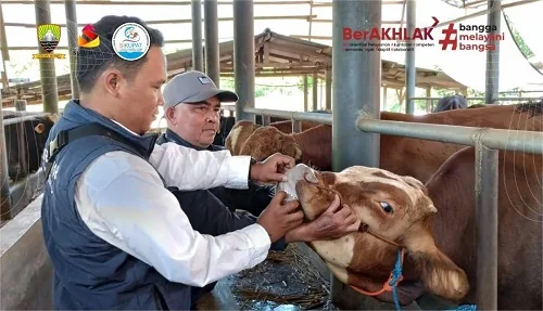 Kepala Dinas Perikanan dan Peternakan Kab Sumedang,  Asep Aan Dahlan.Dok-Diskominfosanditik Sumedang
