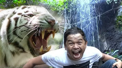 Menjaga Kebudayaan Sunda,  Dedi Mulyadi Dianggap Titisan Prabu Siliwangi