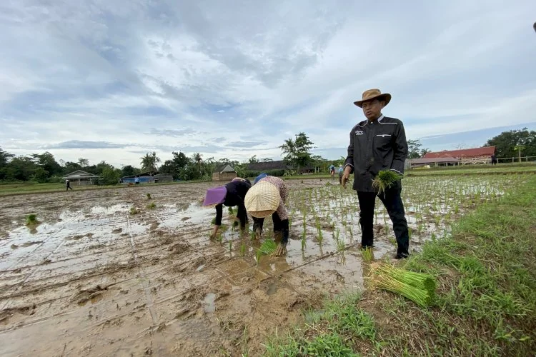 Pertanian Jadi Sebab Ekonomi Jabar Triwulan II 2025 Bergerak Positif