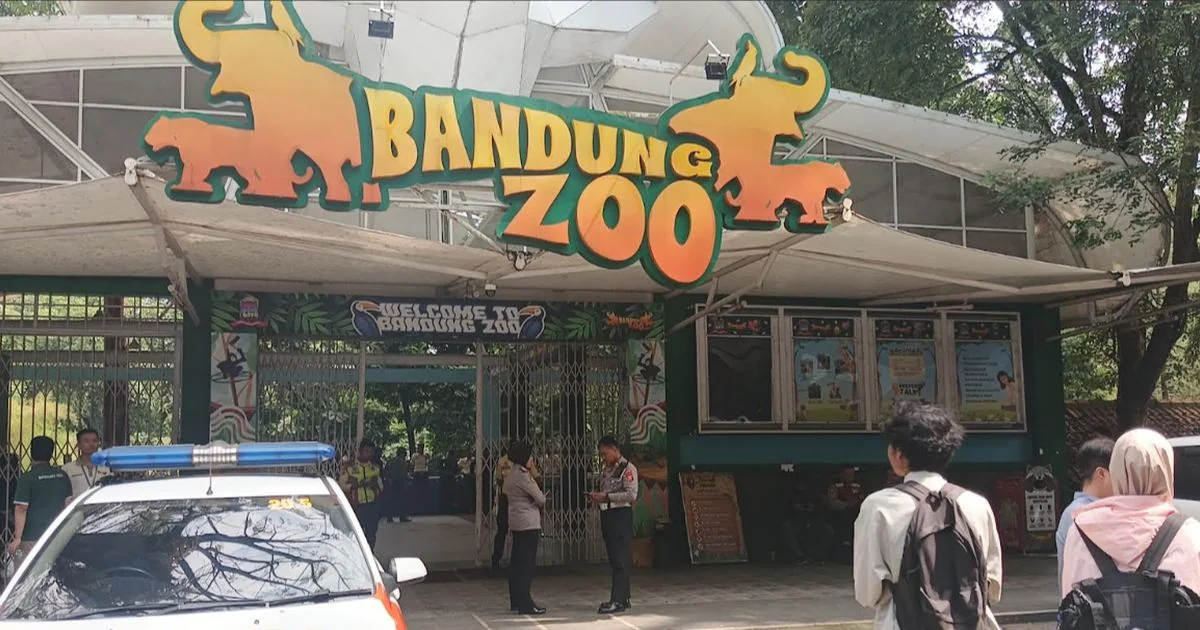 Bandung Zoo Klaim Rugi Rp 2,7 Miliar Akibat Penutupan