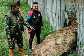 Heboh!! Batu Besar Berjatuhan dari Gunung Batu, Badan Geolog Sebut Fenomena Alami