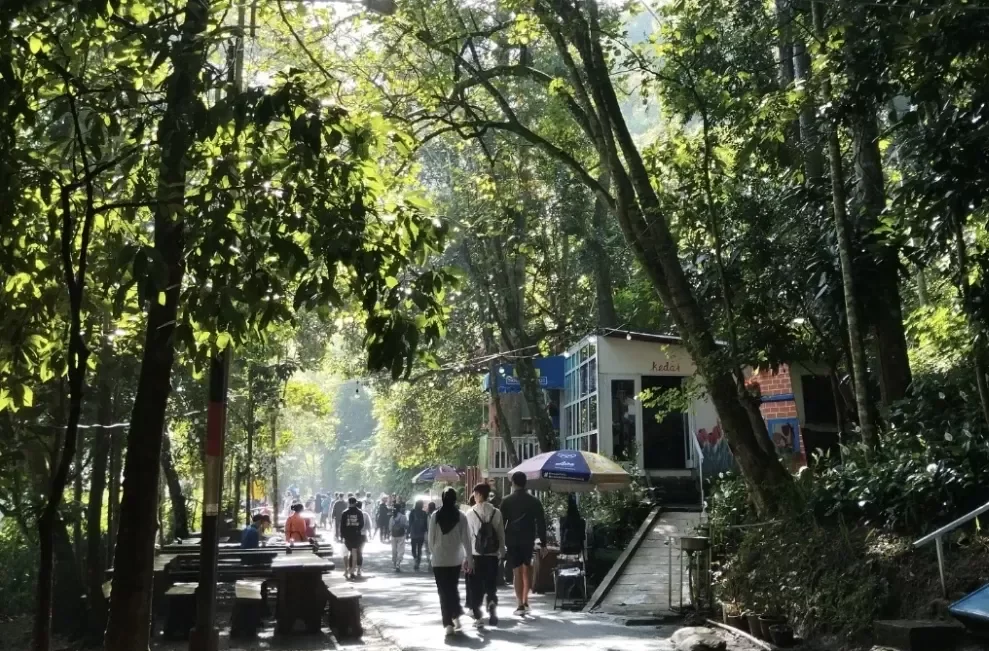 Terpikat Pesona Keindahan Alam Tahura di Utara Kota Bandung