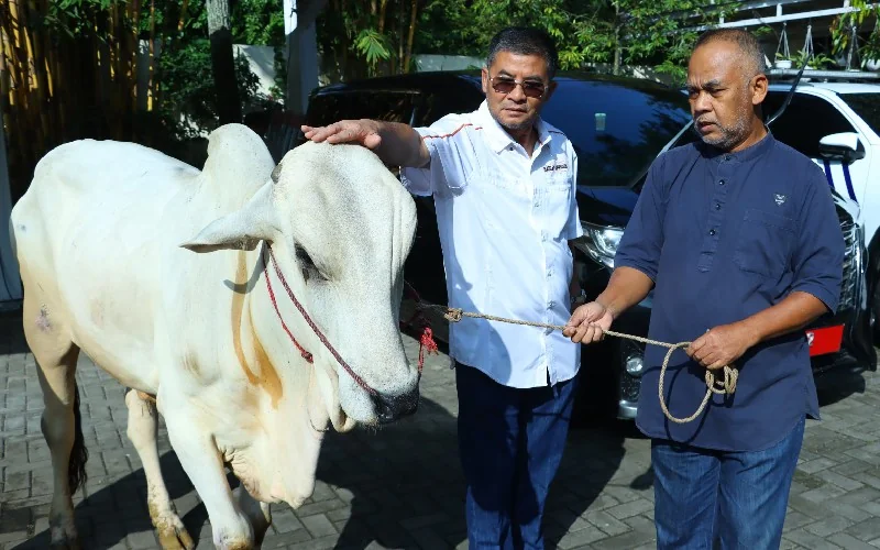 Wagub Jabar Erwan Setiawan Salurkan Hewan Kurban bagi Warga Sekitar Rumah Dinas