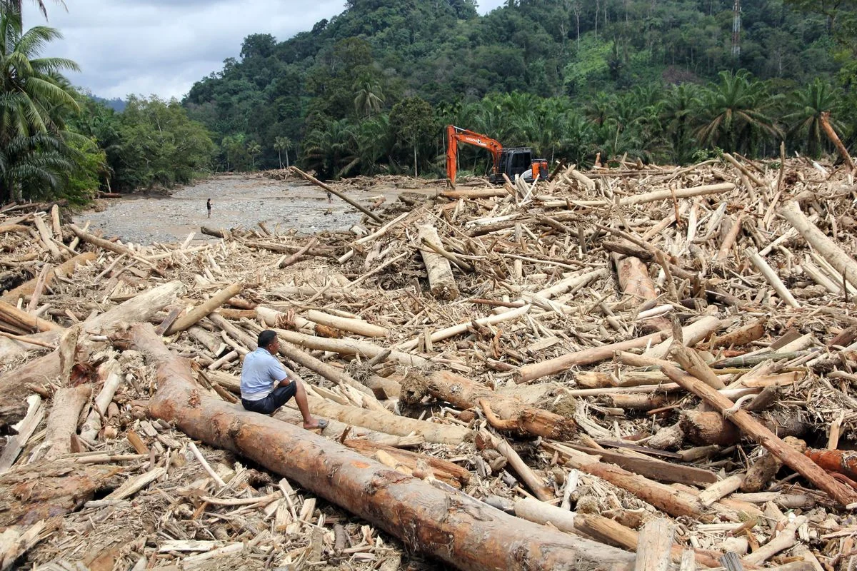 Dedi Mulyadi Singgung Kayu Gelondongan yang Terbawa Banjir di Sumatra: Tidak Ada Pohon Lakukan Bunuh Diri Massal