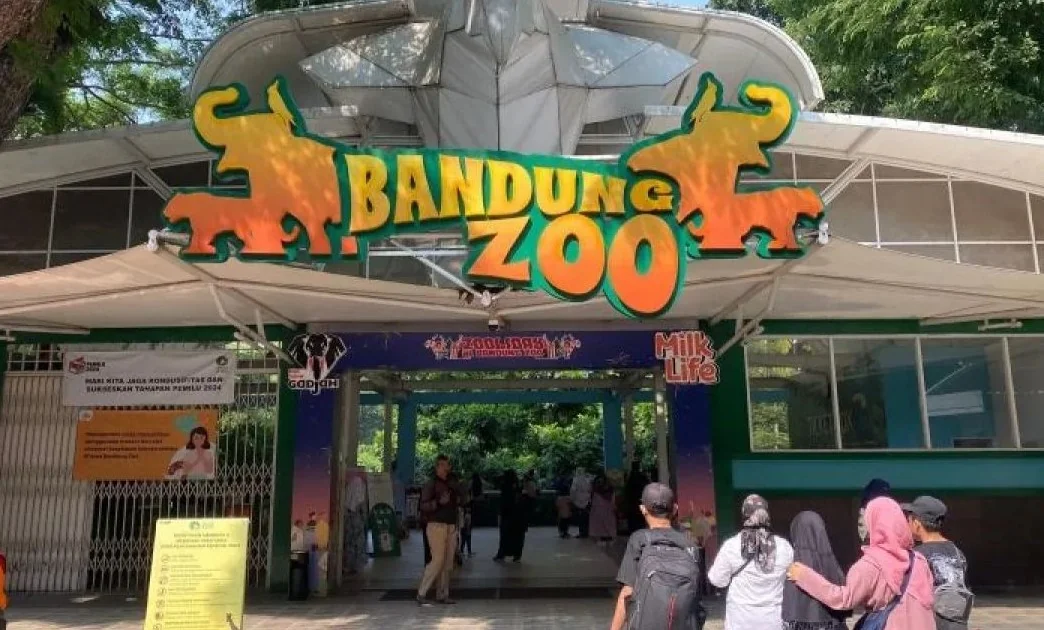 Kisruh Internal Bandung Zoo, Pemkot Bandung Siap Turun Tangan
