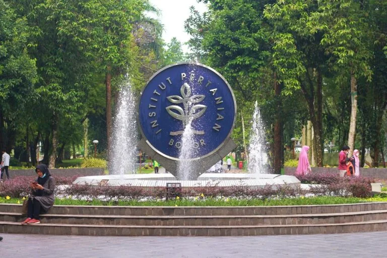 IPB kembali membawa pulang total 15 penghargaan pada ajang Anugerah Diktisaintek 2024 dari Kemdiktisaintek di Jakarta.