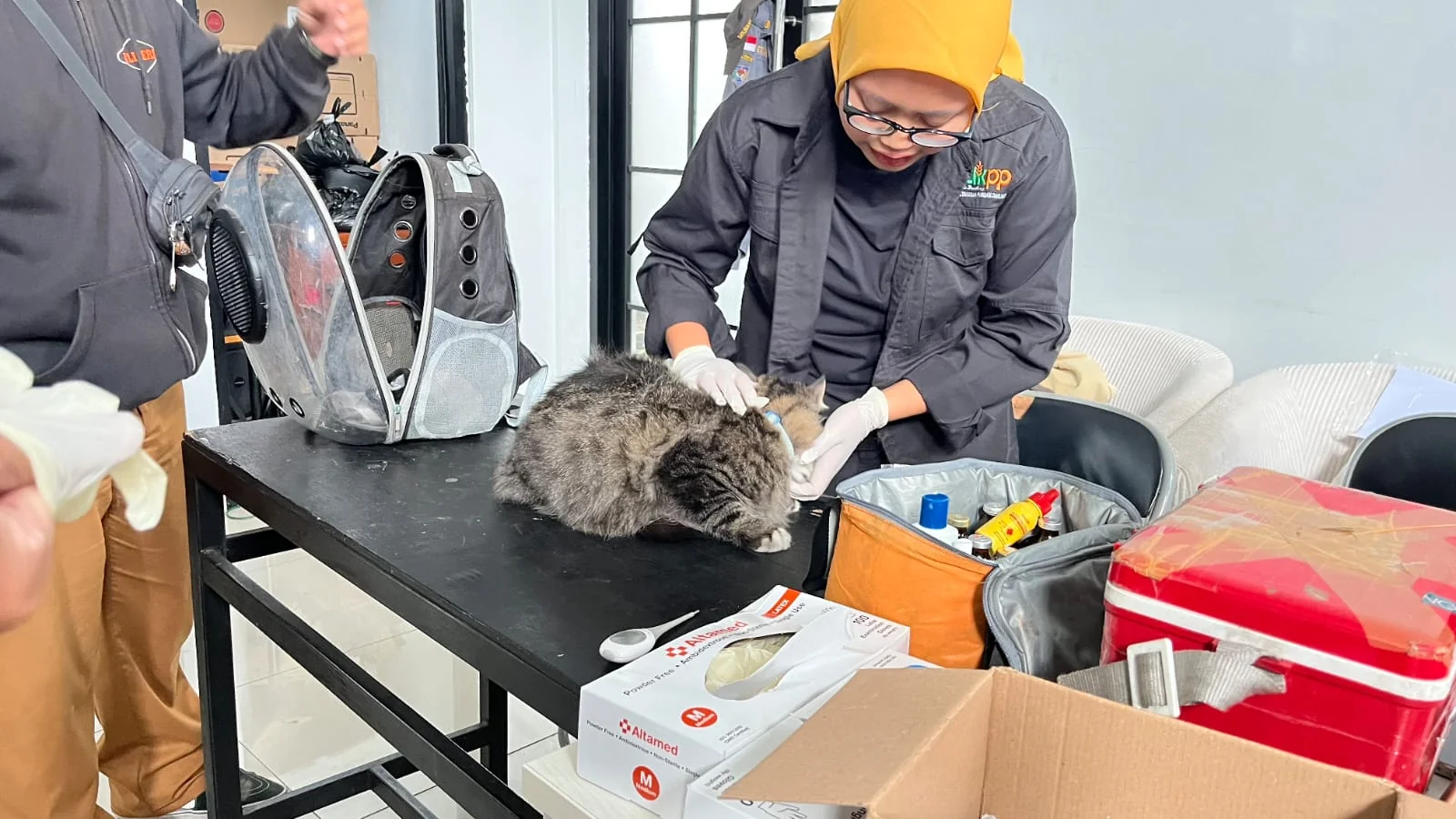 Dinas Ketahanan Pangan dan Pertanian (DKPP) Kota Bandung kembali menggelar kegiatan Bangsawan.Dok-Diskominfo Kota Bandung