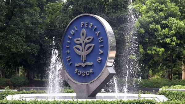 Akademisi IPB: Masa Depan Indonesia Ada di Desa, Dorong Mahasiswa Jadi Kades