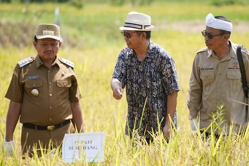 Bupati Sumedang Dony Ahmad Munir mengapresiasi Himpunan Kerukunan Tani Indonesia (HKTI) Sumedang bersama Balitbang Ketahanan Pangan Mandiri yang telah mengambil langkah strategis dalam mendorong transformasi pertanian.Dok-Diskominfosanditik Sumedang