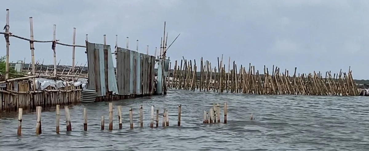 Pagar Laut di Bekasi. (dok Istimewa)