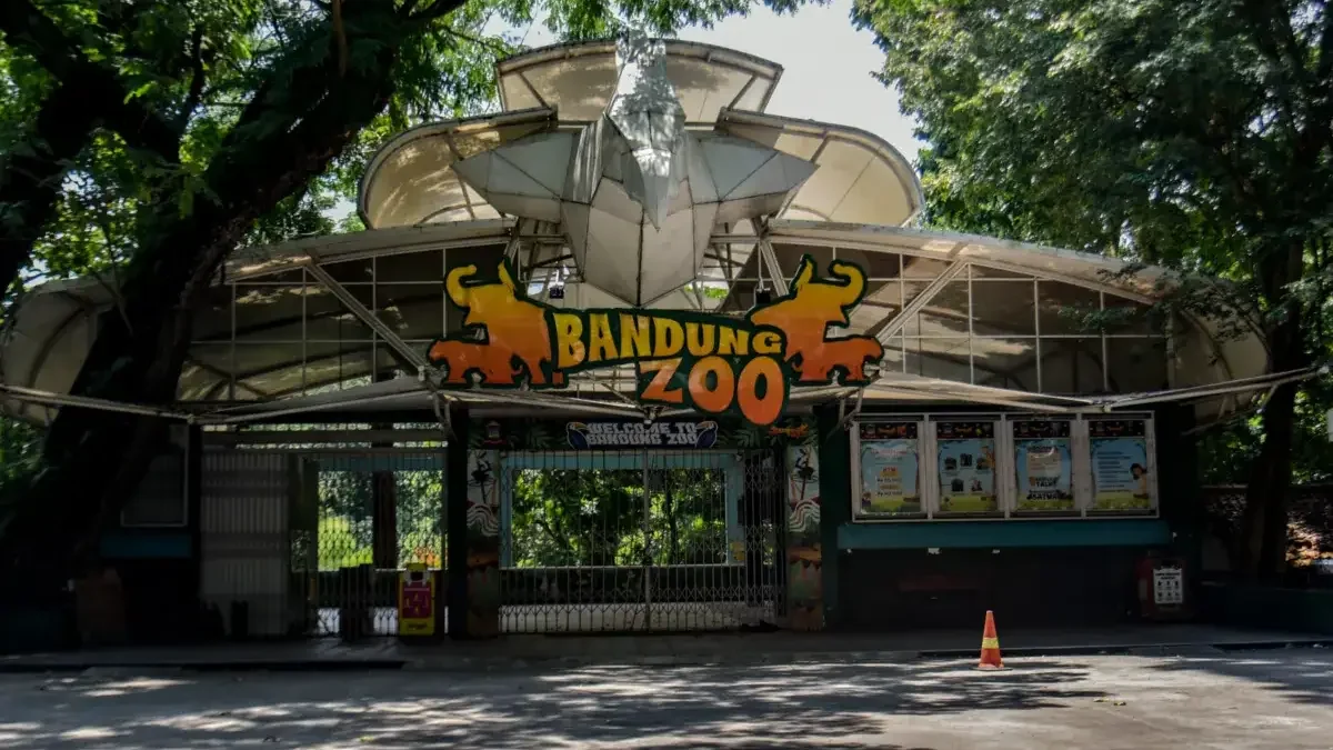 Dedi Mulyadi Buka Peluang BUMD Jabar Ambil Alih Bandung Zoo