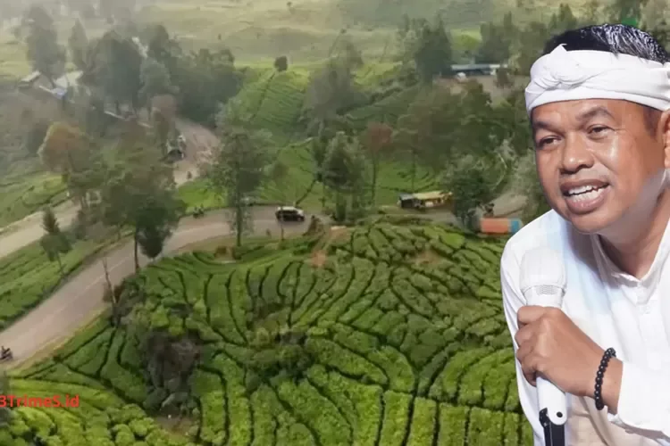 Dedi Mulyadi Gandeng KPK karena Lereng Gunung di Jabar Berubah Jadi Kebun Sayur