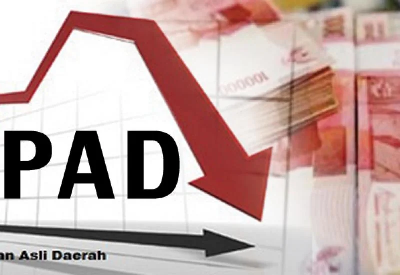 Mendagri: 350 Kabupaten Miliki PAD Rendah, Bergantung pada Anggaran Pusat