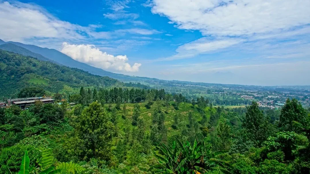 Keindahan Alam Puncak Cisaranten (int)