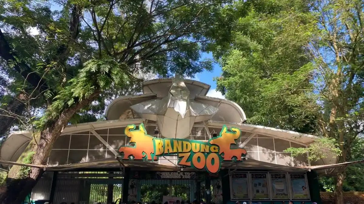 Pengelolaan Bandung Zoo Dibuka untuk Lembaga Profesional