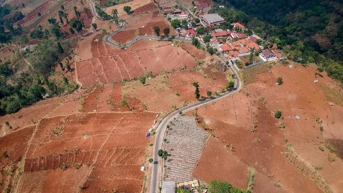 Selamatkan KBU!! Kemenhut Gandeng Dedi Mulyadi Tertibkan Lahan di Bandung Utara