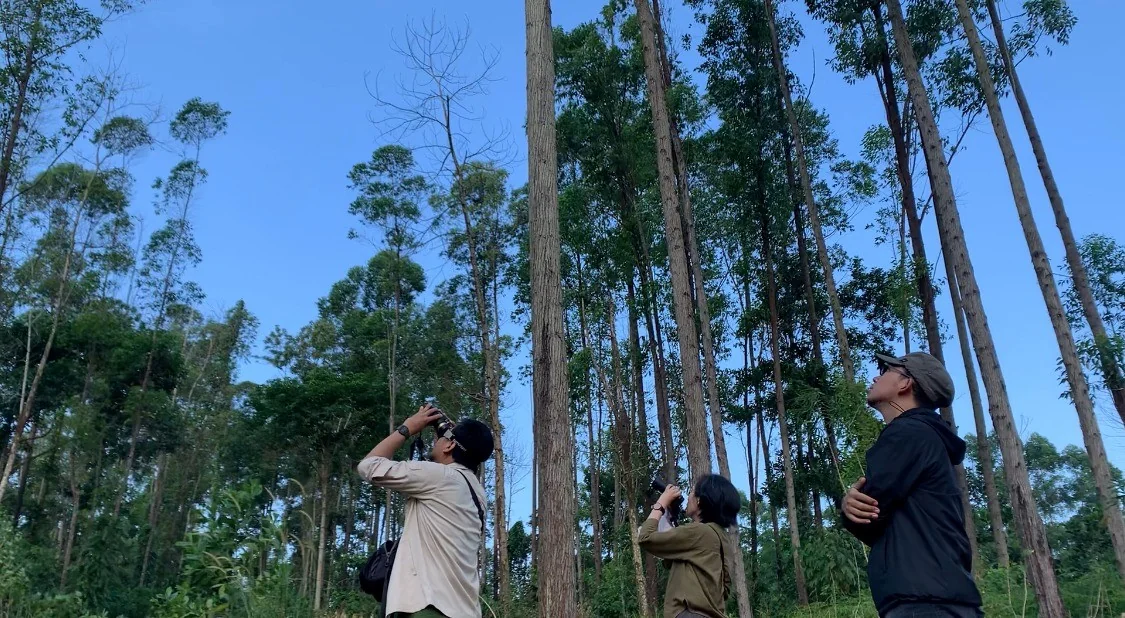 Dukung Forest City, ITB Siap Kelola 129 Hektare Rimba Kota di IKN