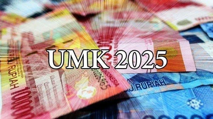 Dedi Mulyadi Usul UMK Nasional Ditentukan per Sektor, Bukan per Wilayah
