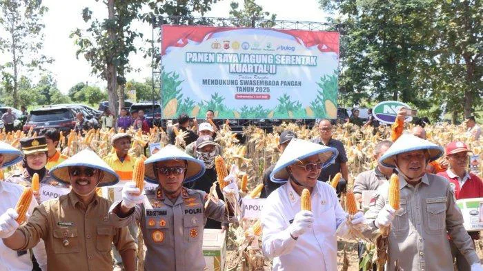 Panen Raya Jagung Serentak Kuartal II Tahun 2025 yang digelar di Kawasan Hutan Perum Perhutani Blok Bangka, Desa Mekarwaru, Kecamatan Gantar, Kabupaten Indramayu, Kamis,  5 Juni 2025.