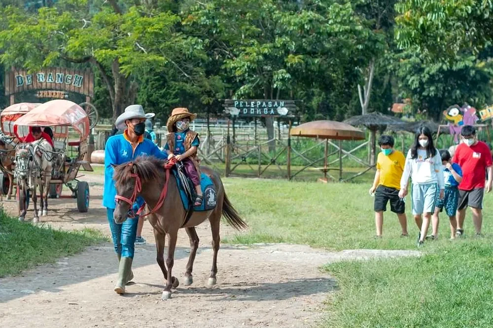 raheela stable (int)