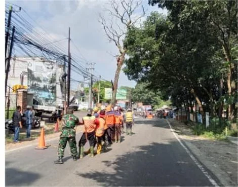 Penebangan dan pemangkasan pohon rawan tumbang di ruas jalan  nasional Blok Panorama Jatinangor Desa Cinanjung dan Blok Pandaysari Desa Kutamandiri  Kecamatan Tanjungsari.Dok-Diskominfosanditik Sumedang