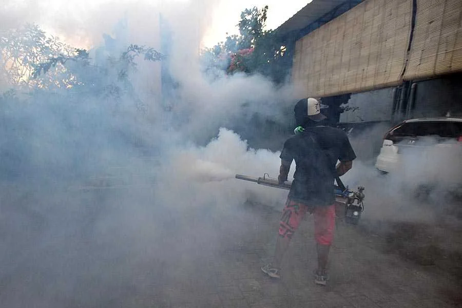 Seorang petugas tengah melakukan pengasapan (fogging) di salah satu pekarangan warga.
