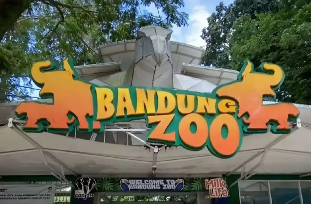Pengurus Gembira Loka Yogyakarta Tertarik Kelola Bandung Zoo