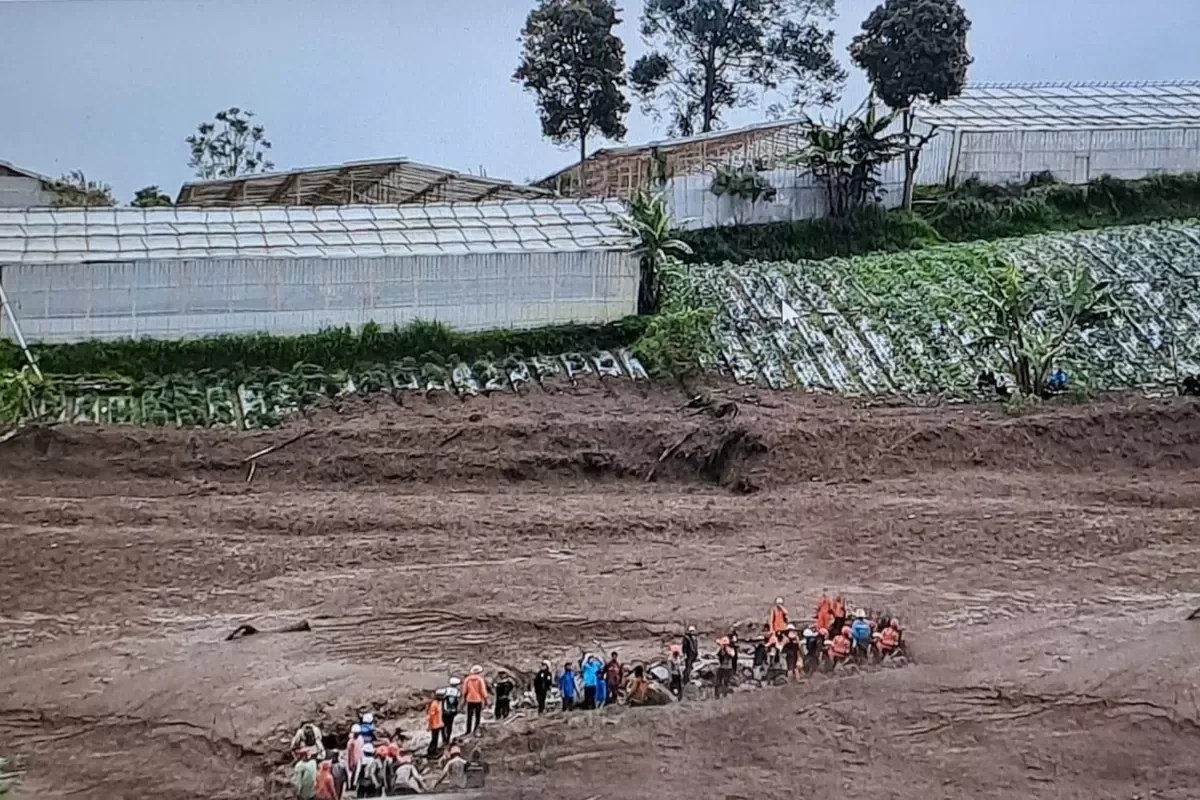 Pasca-longsor Cisarua, Mentan Dorong Petani Ubah Pola Tanam