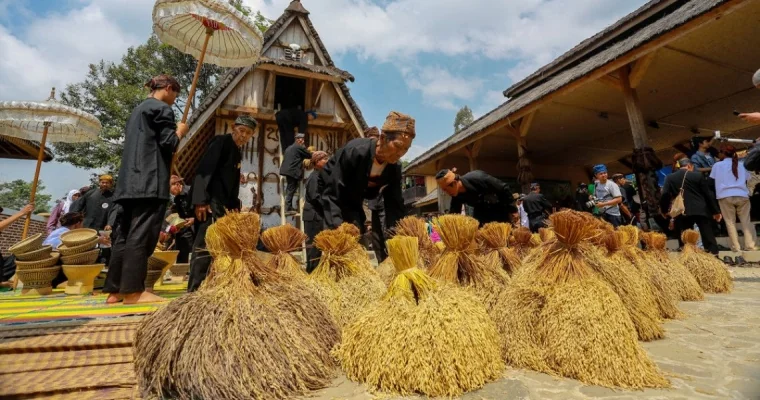 Seren taun cisungsang raya panen padi.