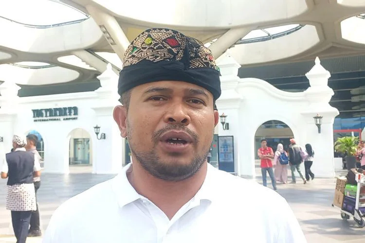 Wakil Bupati Purwakarta, Abang Ijo Hapidin