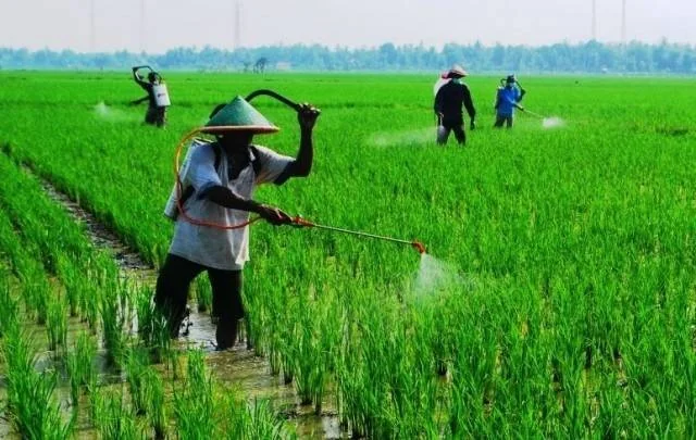 KTNA Ungkapkan Utang Petani di Indramayu Hampir Rp 1,5 Triliun