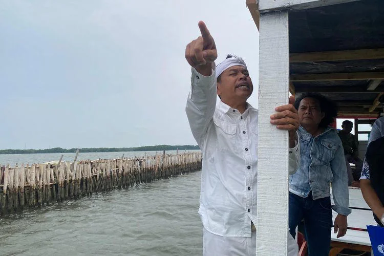 Gubernur Jawa Barat terpilih, Dedi Mulyadi, mengunjungi area pagar laut di perairan Kampung Paljaya, Desa Segara Jaya, Tarumajaya, Kabupaten Bekasi, Jumat (24/1/2025).