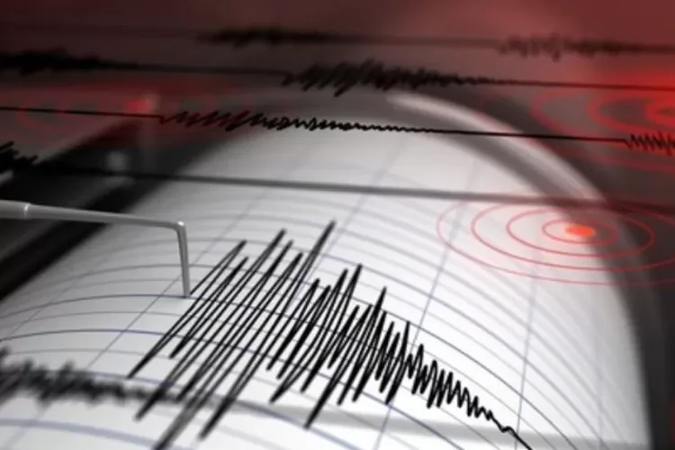 Susur Jalur Sesar Lembang, Pemkot Bandung Kencangkan Sabuk Pengaman Antisipasi Gempa