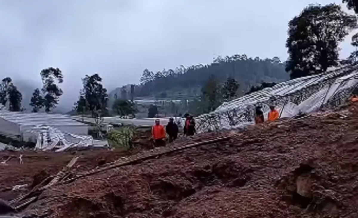 Dedi Mulyadi Bakal Ubah Lahan di Cisarua KBB yang Tertimbun Jadi Hutan