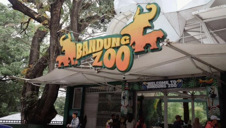 Eks Petinggi Bandung Zoo Divonis 7 Tahun, Kejati Jabar Masih Pikir-pikir