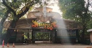 Bandung Zoo Jadi Barang Bukti Korupsi, Alshad Ahmad dan PKBSI Cemas Nasib Satwa Terlantar