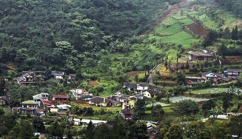 Gubernur Jabar Dedi Mulyadi akan melakukan penataan kawasan Puncak Bogor