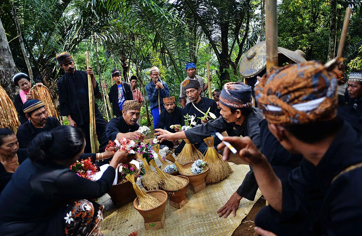 Upacara saat memulai panen padi.