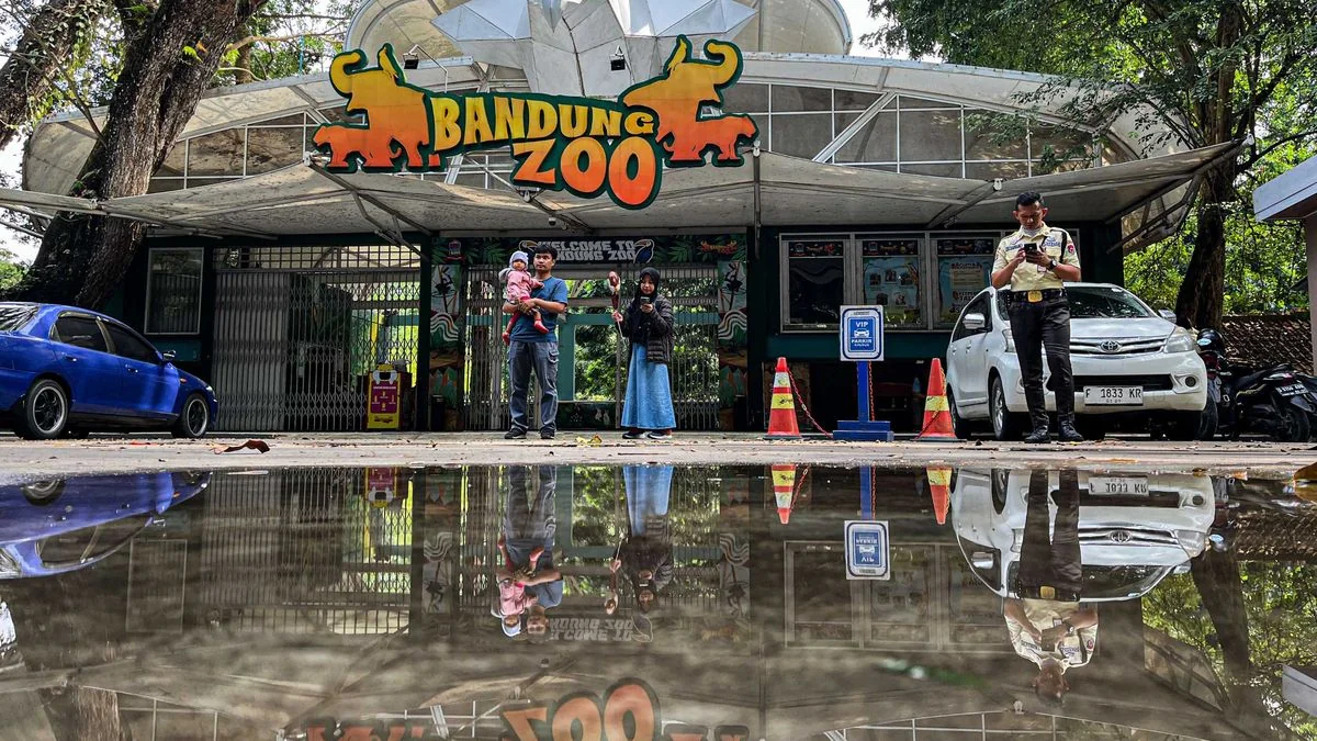 Audit Kesehatan Satwa di Bandung Zoo, Pemkot Bandung Gandeng Vantara India