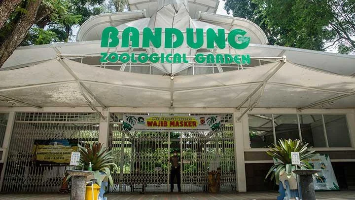 Awal Mula Dualisme Kepengurusan Kebun Binatang Bandung