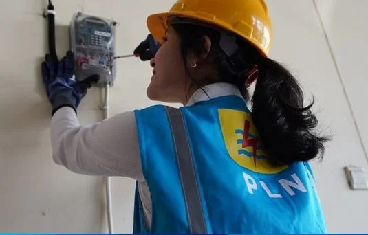 Tarif Listrik 1-8 Juni 2025, Biaya Per kWh Semua Golongan Pelanggan
