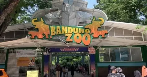 Tanggung Jawab Pakan Beralih ke Pemkot Bandung, Translokasi Satwa di  Bandung Zoo Ditolak