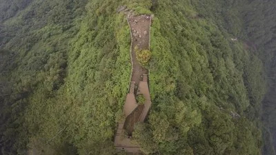 Hutan Gunung Wayang Bandung Dijadikan Habitat Macan Tutul, Pemprov Jabar Siapkan Lokasi