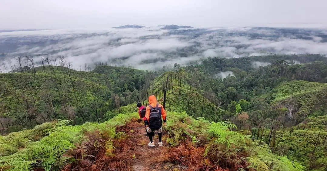 Gunung Salak mempunyai peranan penting bagi konservasi keanekaragaman hayati, yang statusnya merupakan taman nasional.