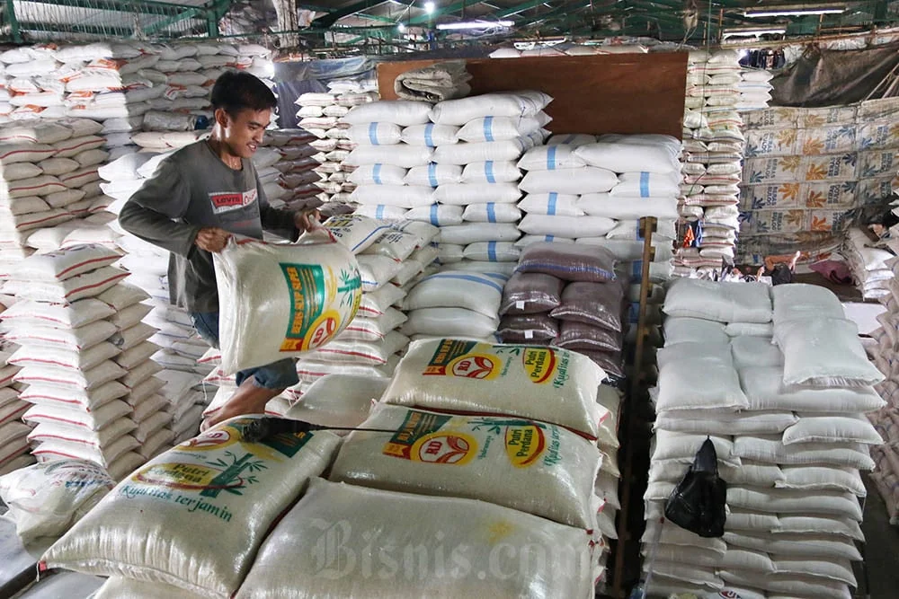 Jenis beras khusus yang paling banya diimpor adalah beras patahan alias broken rice yang kerap digunakan industri untuk membuat tepung beras.