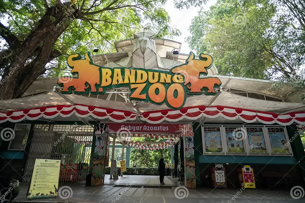 Belum Buka Sejak 6 Agustus, Nasib Bandung Zoo Tunggu Putusan Menhut