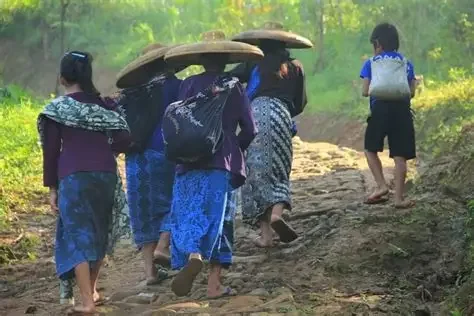 Putusan MK: Masyarakat Adat Tak Perlu Izin Usaha Berkebun di Kawasan Hutan