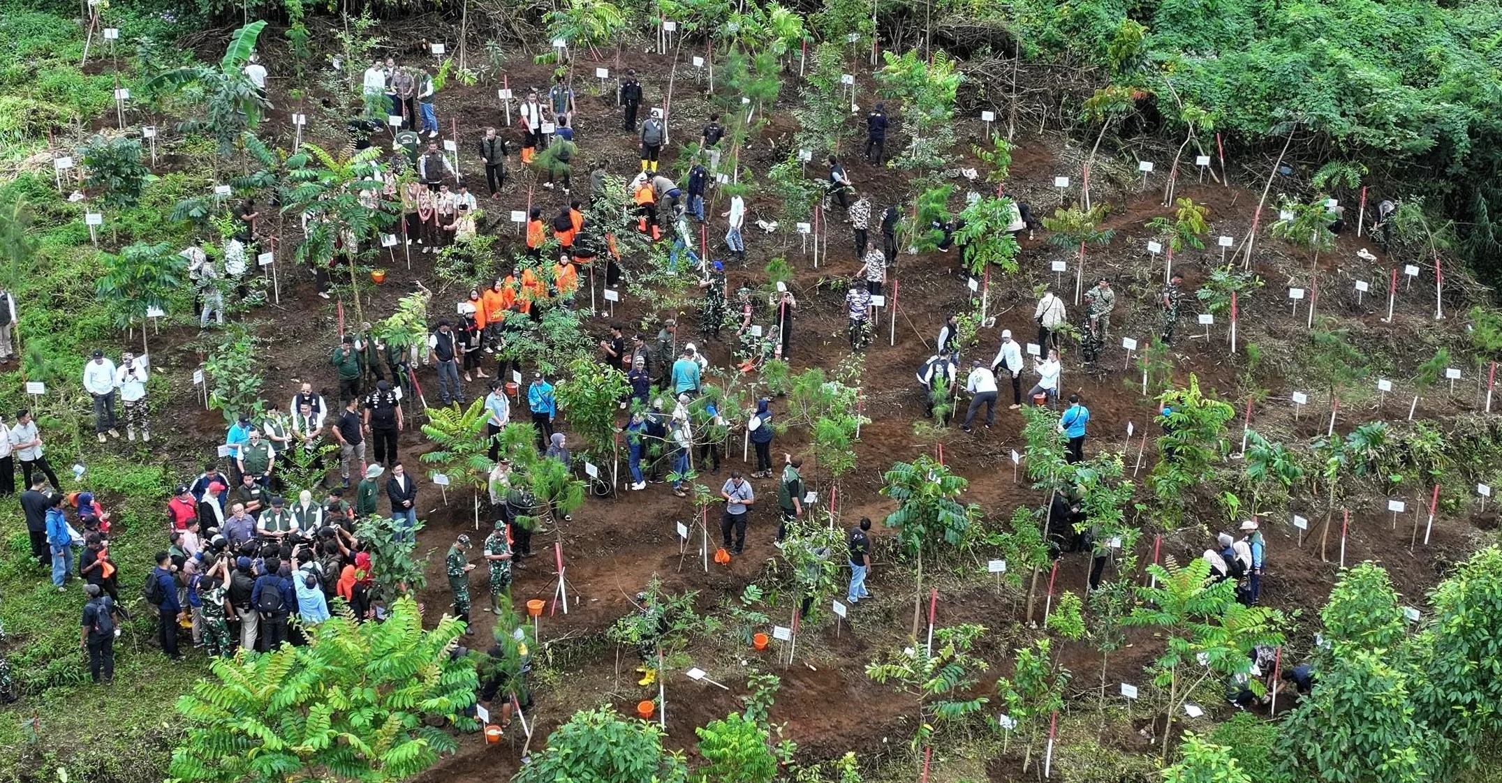 Pemerintah Kabupaten Bogor menargetkan total rencana penanaman pohon pada tahap awal mencapai sekitar 220 hektar.Dok-Diskominfo Kab Bogor
