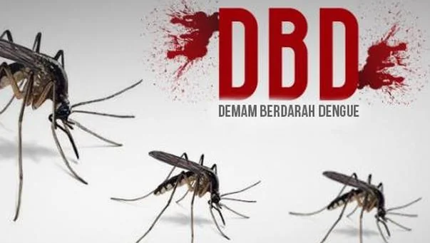 Puluhan Kasus DBD di Bandung Barat, Terbanyak di Padalarang