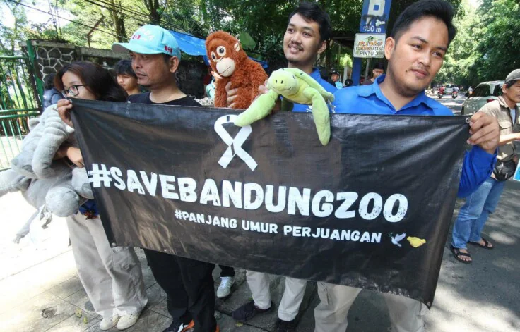 Suplai Pakan Terakhir 5 Mei, Bandung Zoo Terancam Krisis Pakan Satwa Lagi